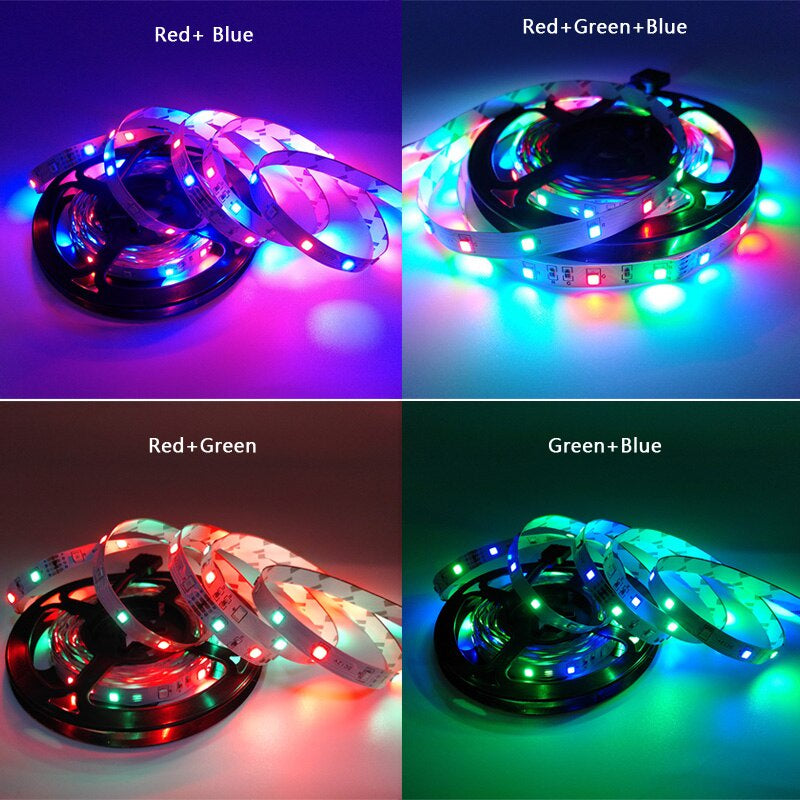 12VDC 2835 Red, Green & Blue LED Strip Light Kit with Remote & Adapter