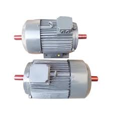 Double Shaft Motor